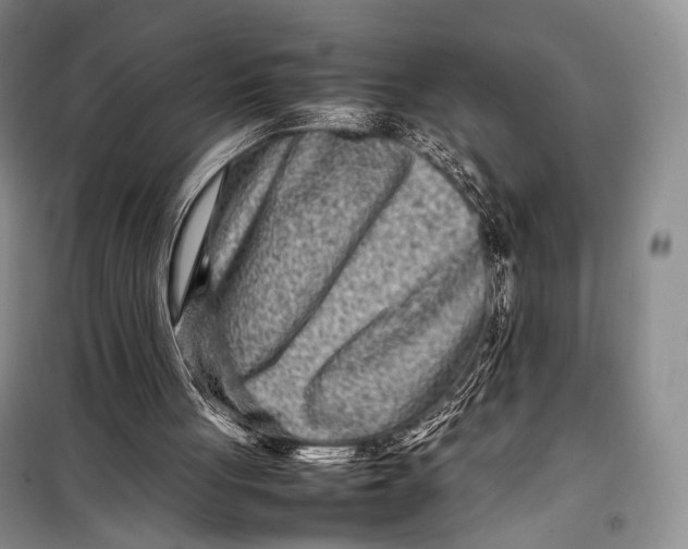 X0000098220051200805151327