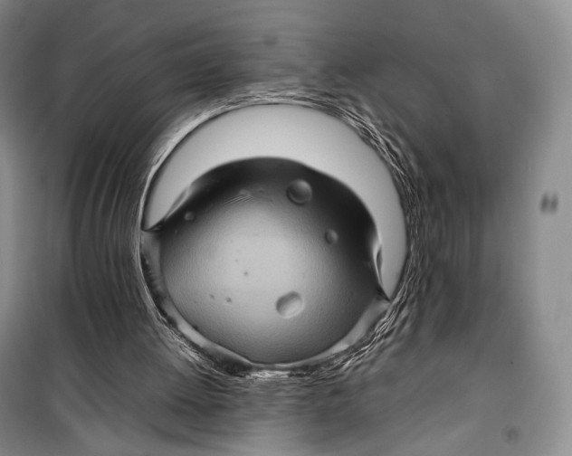 X0000098220052200805151327