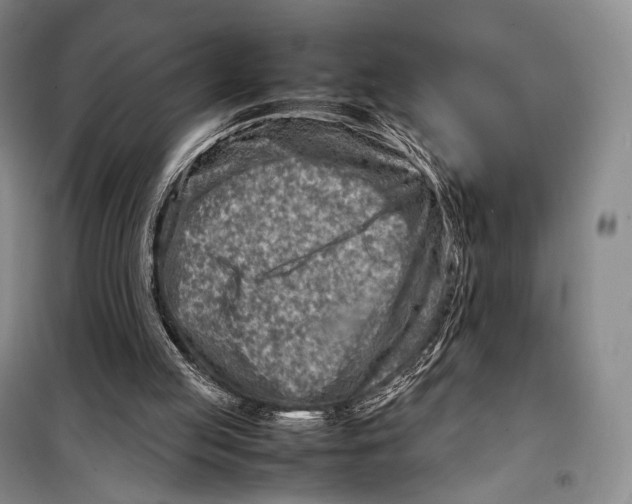 X0000098220053200805151327