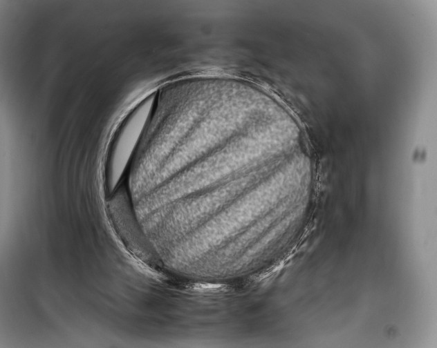 X0000098220055200805151327