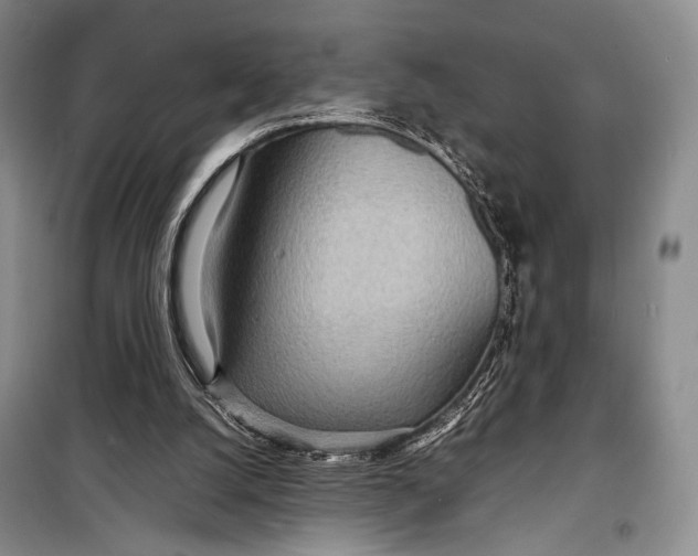 X0000098220056200805151327