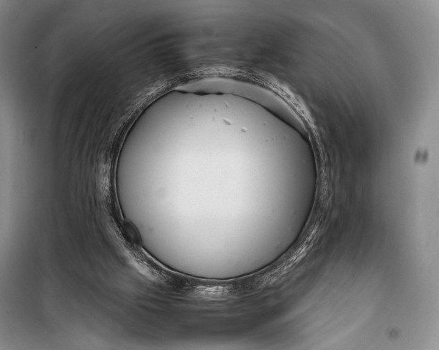 X0000098220057200805151327