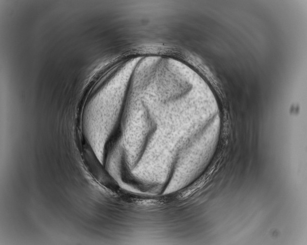 X0000098220058200805151327