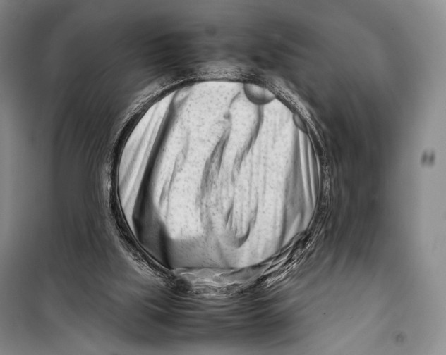 X0000098220059200805151327