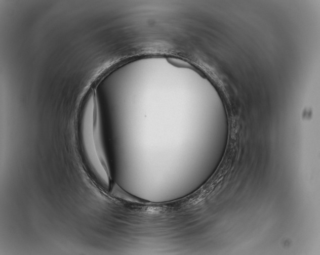 X0000098220060200805151327