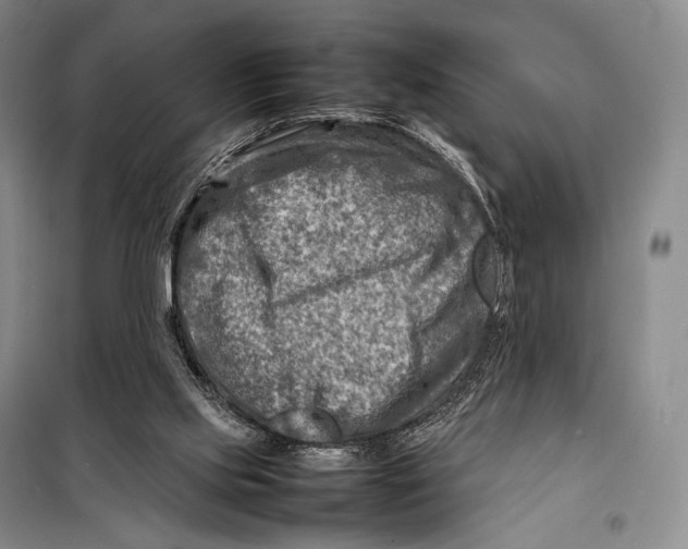 X0000098220061200805151327