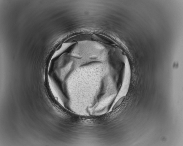 X0000098220062200805151327