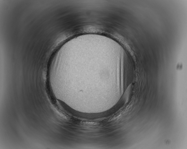 X0000098220063200805151327