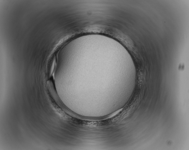 X0000098220064200805151327