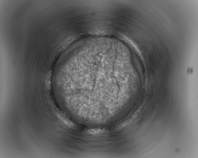 X0000098220065200805151327