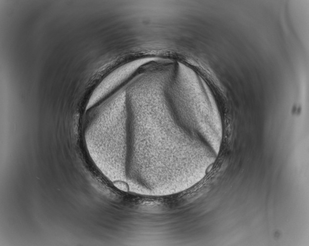 X0000098220066200805151327