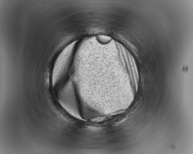 X0000098220067200805151327