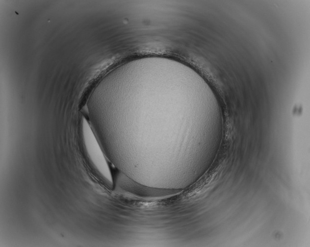 X0000098220068200805151327