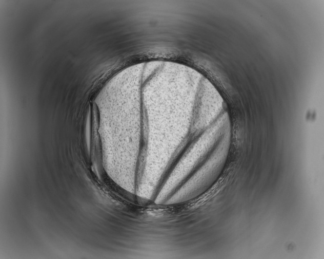 X0000098220070200805151327