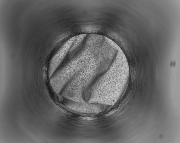 X0000098220071200805151327