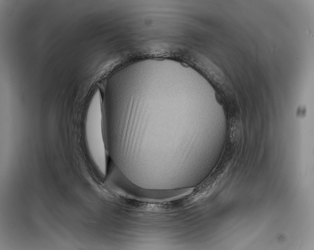 X0000098220072200805151327