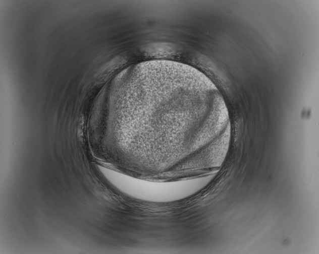 X0000098220073200805151327