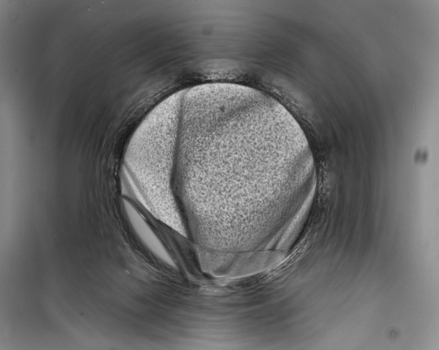 X0000098220074200805151327