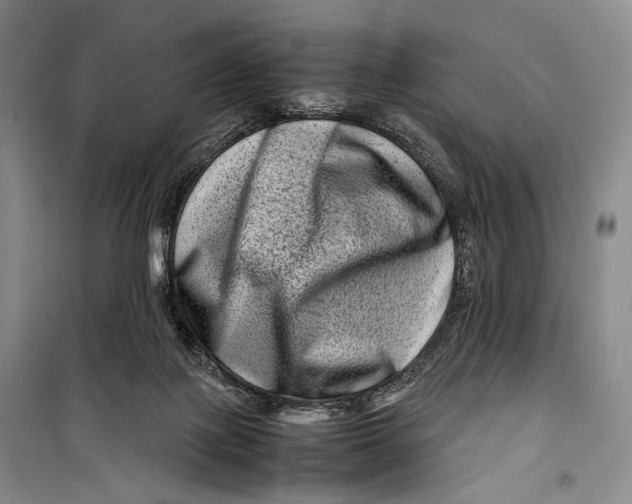 X0000098220075200805151327