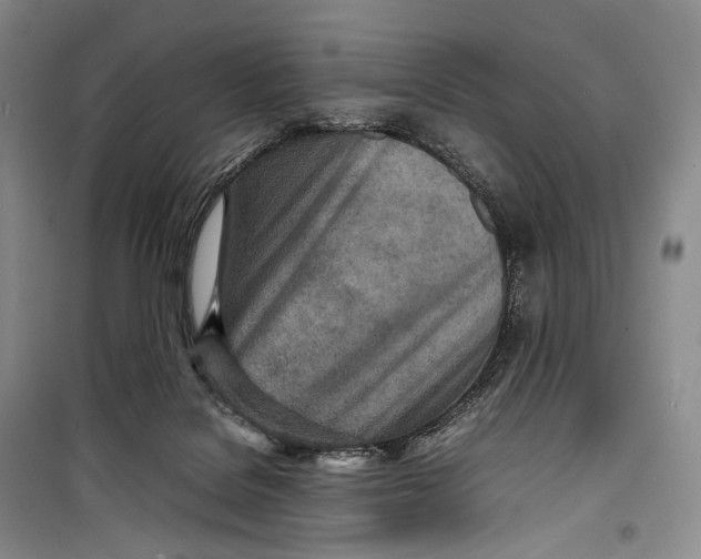 X0000098220076200805151327