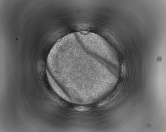 X0000098220079200805151327