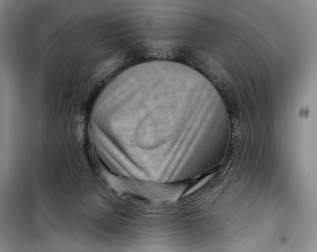 X0000098220080200805151327