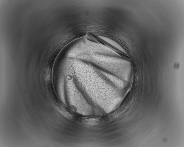 X0000098220081200805151327