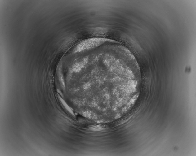 X0000098220083200805151327