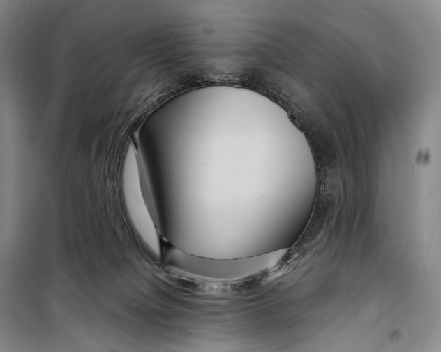 X0000098220084200805151327