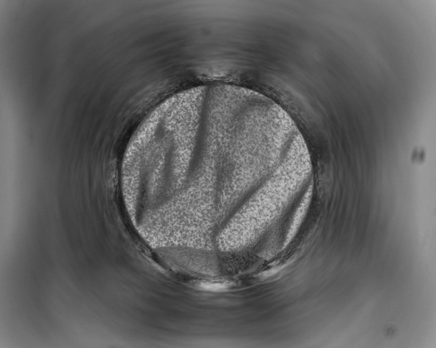 X0000098220085200805151327