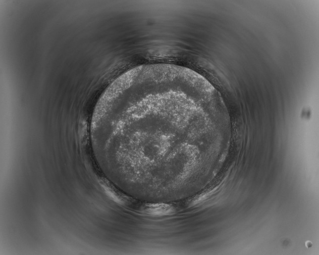 X0000098220087200805151327