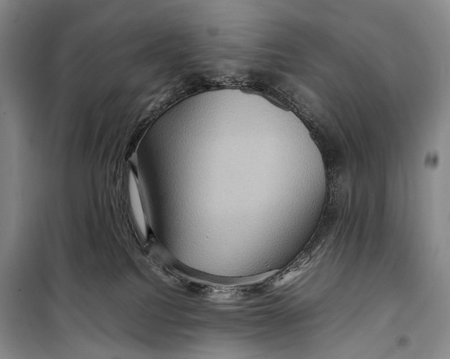 X0000098220088200805151327