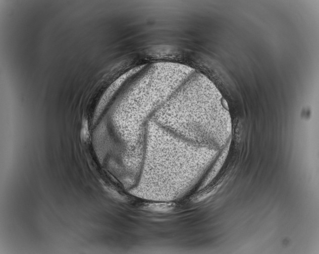 X0000098220089200805151327