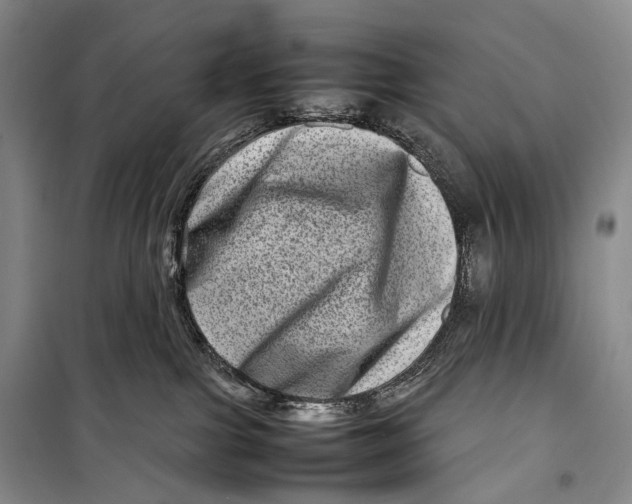 X0000098220091200805151327