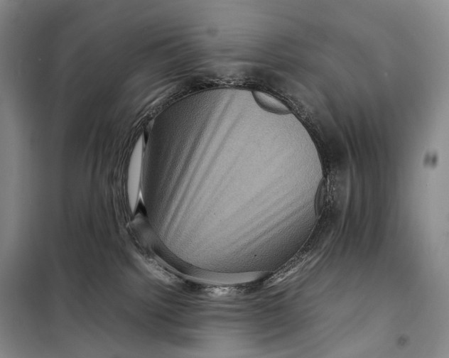 X0000098220092200805151327