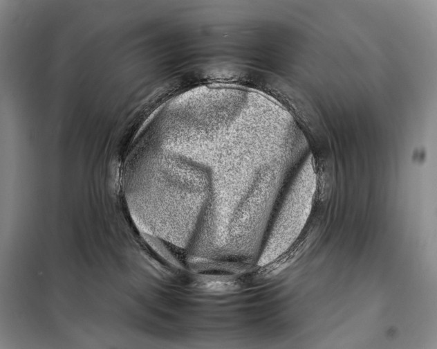 X0000098220093200805151327