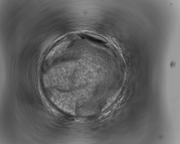 X0000098220097200805151327