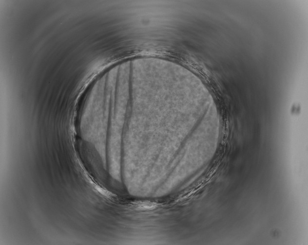 X0000098220098200805151327