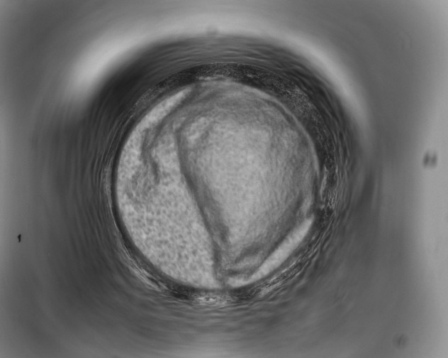 X0000098220099200805151326