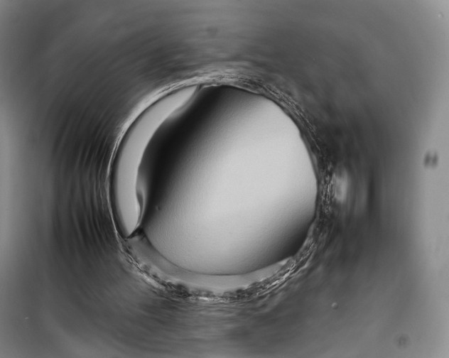 X0000098220100200805151326