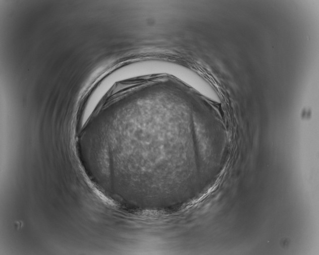 X0000098220101200805151326