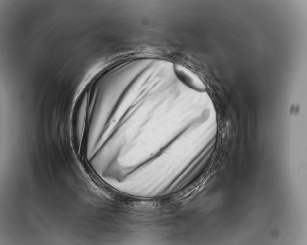 X0000098220102200805151326