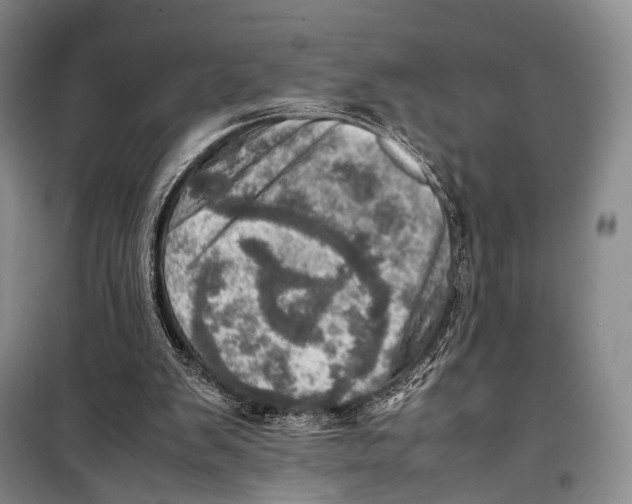 X0000098220103200805151326