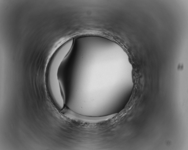 X0000098220104200805151326