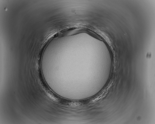 X0000098220105200805151326