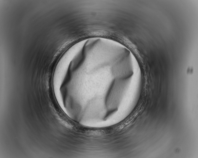 X0000098220106200805151326