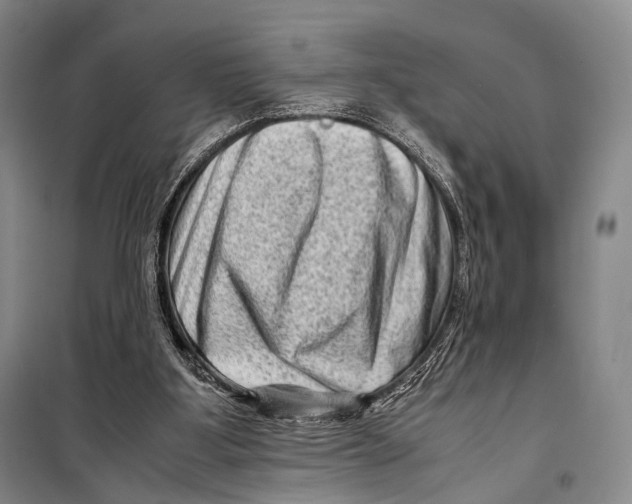 X0000098220107200805151326