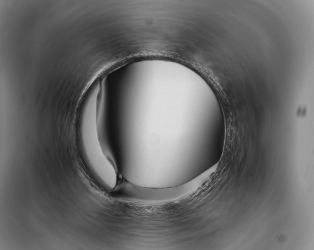 X0000098220108200805151326