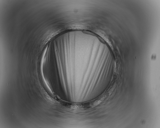 X0000098220109200805151326