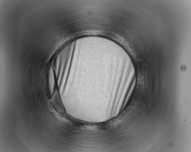 X0000098220110200805151326